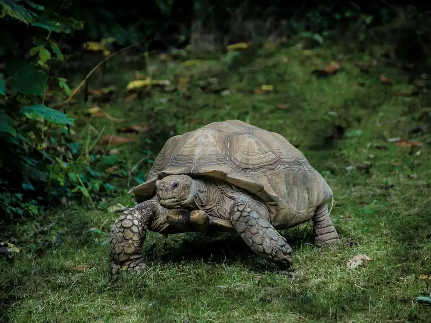 9. Slow and steady wins the race